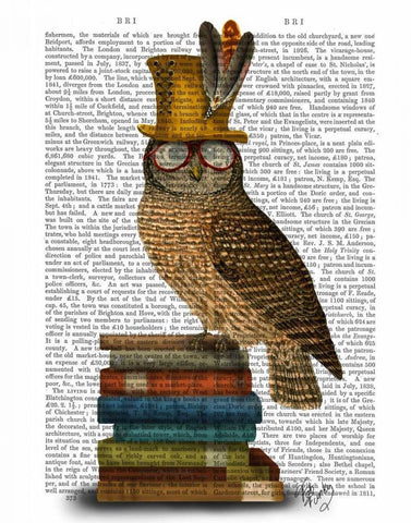 Owl On Books Black Ornate Wood Framed Art Print with Double Matting by Fab Funky