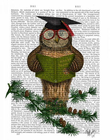 Owl Reading On Branch White Modern Wood Framed Art Print with Double Matting by Fab Funky