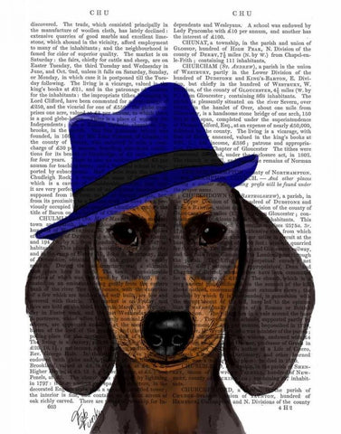 Dachshund With Blue Trilby White Modern Wood Framed Art Print with Double Matting by Fab Funky