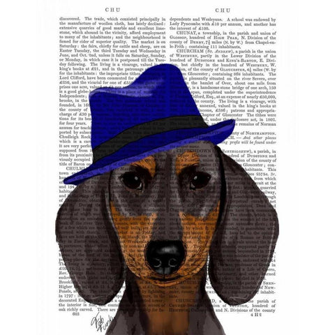 Dachshund With Blue Trilby White Modern Wood Framed Art Print by Fab Funky