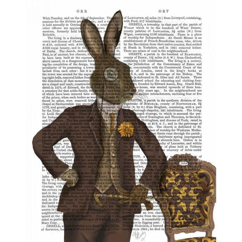 Dapper Hare Black Modern Wood Framed Art Print with Double Matting by Fab Funky