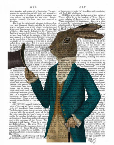 Hare In Turquoise Coat White Modern Wood Framed Art Print with Double Matting by Fab Funky