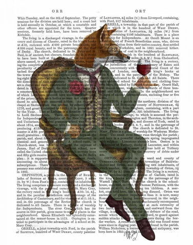 Wine Taster Fox Full White Modern Wood Framed Art Print with Double Matting by Fab Funky