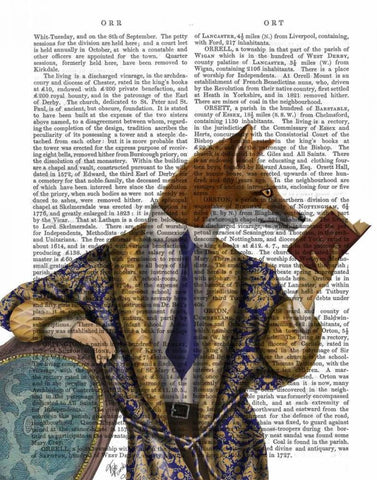 Book Reader Fox White Modern Wood Framed Art Print with Double Matting by Fab Funky