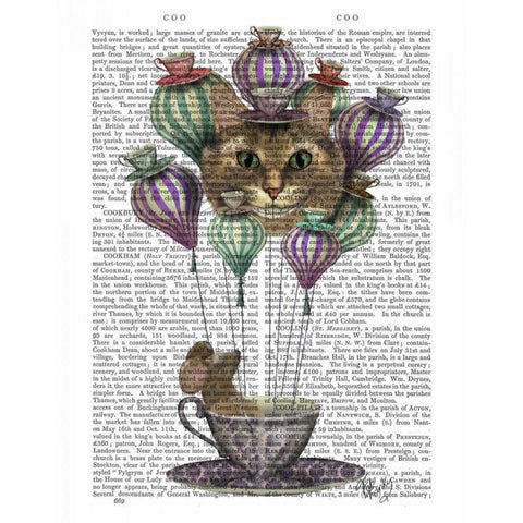 Cheshire Cat Hot Air Balloon Gold Ornate Wood Framed Art Print with Double Matting by Fab Funky