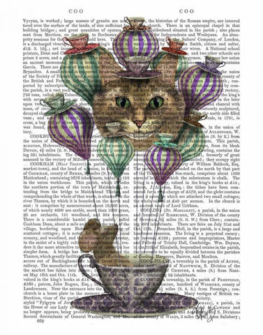 Cheshire Cat Hot Air Balloon White Modern Wood Framed Art Print with Double Matting by Fab Funky