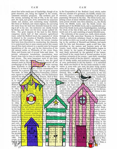 Beach Huts 1 Illustration Black Ornate Wood Framed Art Print with Double Matting by Fab Funky