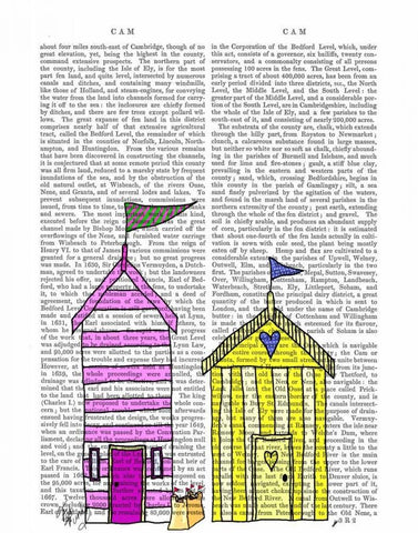 Beach Huts 3 Illustration White Modern Wood Framed Art Print with Double Matting by Fab Funky