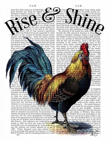 Rise and Shine White Modern Wood Framed Art Print with Double Matting by Fab Funky