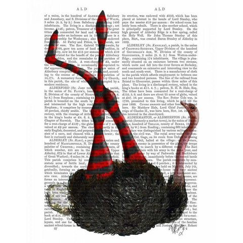 Ostrich with Striped Leggings Black Modern Wood Framed Art Print with Double Matting by Fab Funky