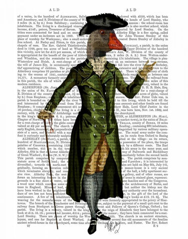 Goose in Green Regency Coat Black Ornate Wood Framed Art Print with Double Matting by Fab Funky