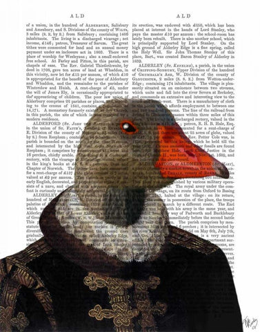 Elizabethan Goose in a Ruff White Modern Wood Framed Art Print with Double Matting by Fab Funky