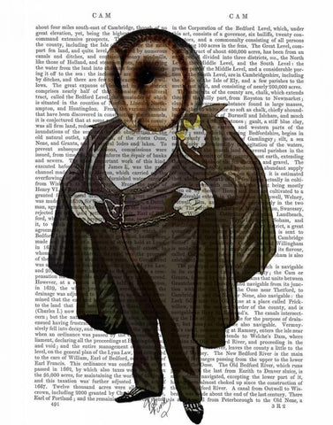 Owl At the Opera Black Ornate Wood Framed Art Print with Double Matting by Fab Funky