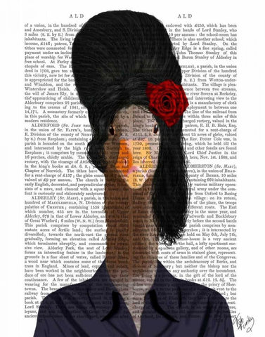 Amy Winehouse Goose White Modern Wood Framed Art Print with Double Matting by Fab Funky