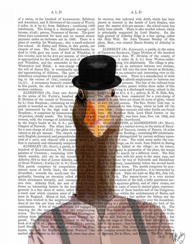 Clockwork Orange Goose Black Ornate Wood Framed Art Print with Double Matting by Fab Funky