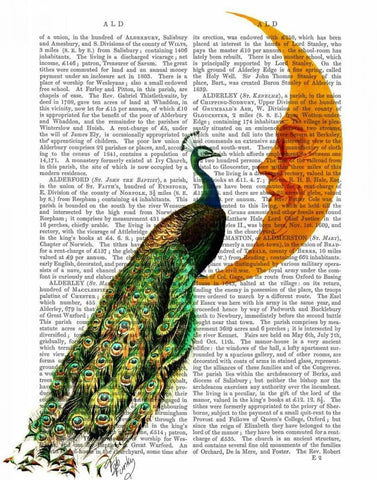 Peacock on the Moon White Modern Wood Framed Art Print with Double Matting by Fab Funky