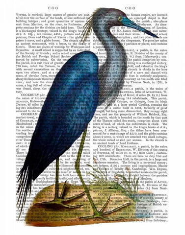 Blue Heron 2 Black Ornate Wood Framed Art Print with Double Matting by Fab Funky