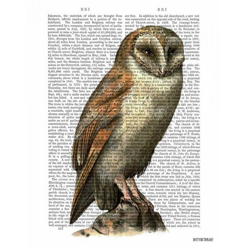 Barn Owl Black Modern Wood Framed Art Print with Double Matting by Fab Funky