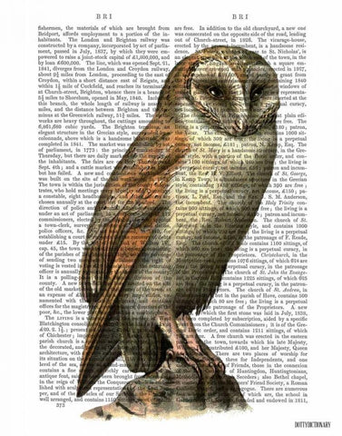 Barn Owl White Modern Wood Framed Art Print with Double Matting by Fab Funky