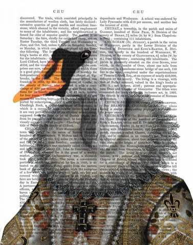 Elizabethan Swan White Modern Wood Framed Art Print with Double Matting by Fab Funky