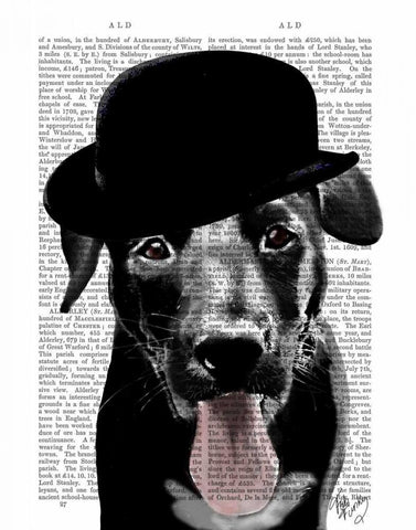 Black Labrador in Bowler Hat White Modern Wood Framed Art Print with Double Matting by Fab Funky