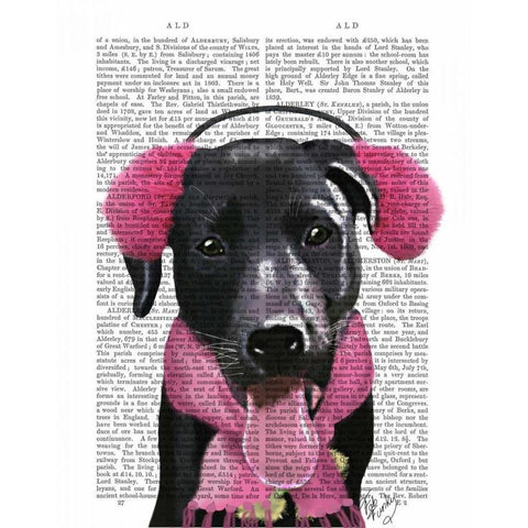Black Labrador With Ear Muffs Gold Ornate Wood Framed Art Print with Double Matting by Fab Funky