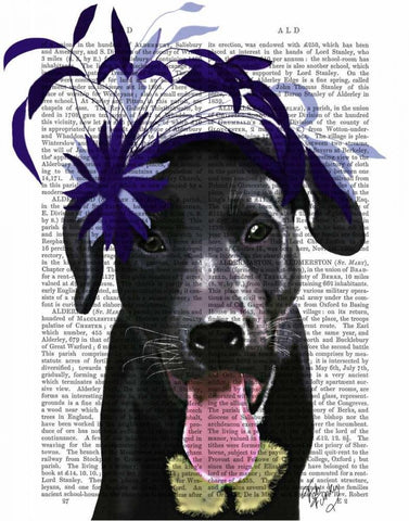 Black Labrador With Blue Fascinator White Modern Wood Framed Art Print with Double Matting by Fab Funky