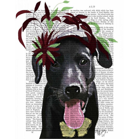 Black Labrador With Green Fascinator Gold Ornate Wood Framed Art Print with Double Matting by Fab Funky