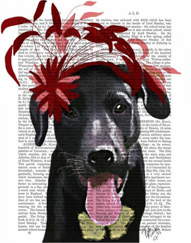 Black Labrador With Red Fascinator White Modern Wood Framed Art Print with Double Matting by Fab Funky