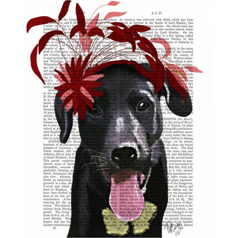 Black Labrador With Red Fascinator Black Modern Wood Framed Art Print by Fab Funky
