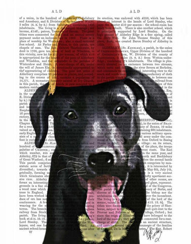 Black Labrador With Fez Black Ornate Wood Framed Art Print with Double Matting by Fab Funky