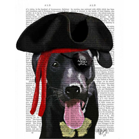 Black Labrador Pirate Black Modern Wood Framed Art Print with Double Matting by Fab Funky