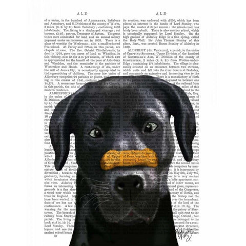 Black Labrador With Bone on Nose Black Modern Wood Framed Art Print with Double Matting by Fab Funky