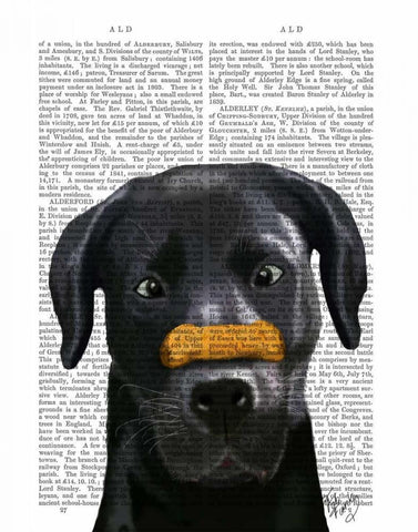 Black Labrador With Bone on Nose White Modern Wood Framed Art Print with Double Matting by Fab Funky