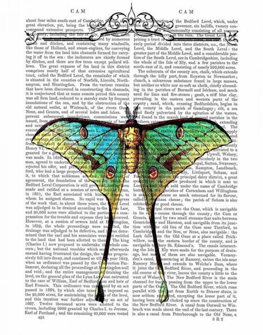 Butterfly 1 White Modern Wood Framed Art Print with Double Matting by Fab Funky