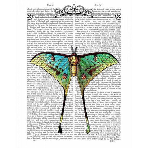 Butterfly 1 Black Modern Wood Framed Art Print with Double Matting by Fab Funky