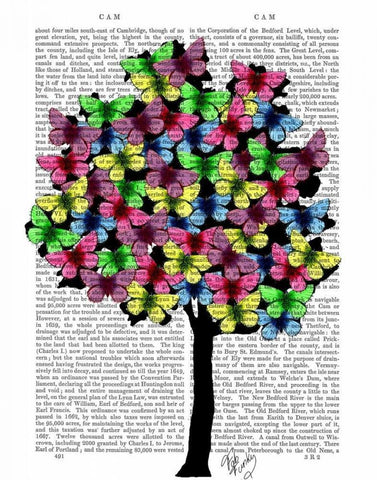 Butterfly Tree White Modern Wood Framed Art Print with Double Matting by Fab Funky