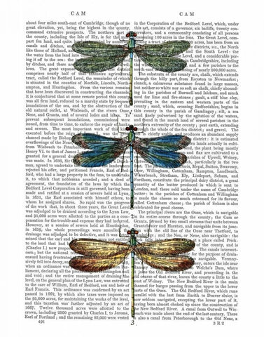 Dragonflies Print 1 White Modern Wood Framed Art Print with Double Matting by Fab Funky