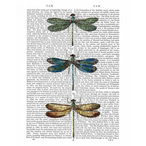 Dragonflies Print 1 Black Modern Wood Framed Art Print with Double Matting by Fab Funky