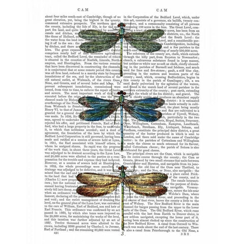 Dragonflies Print 1 Gold Ornate Wood Framed Art Print with Double Matting by Fab Funky