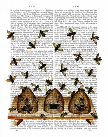 BeeHive Print Black Ornate Wood Framed Art Print with Double Matting by Fab Funky