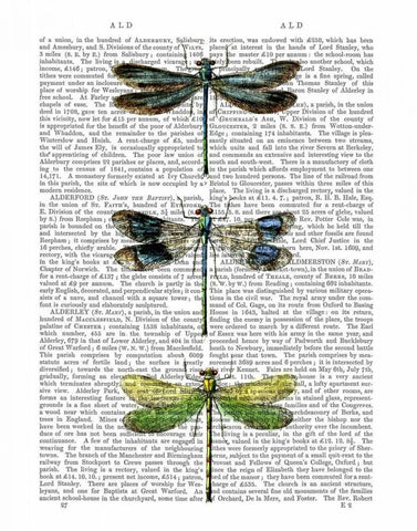 Dragonflies Print 2 White Modern Wood Framed Art Print with Double Matting by Fab Funky