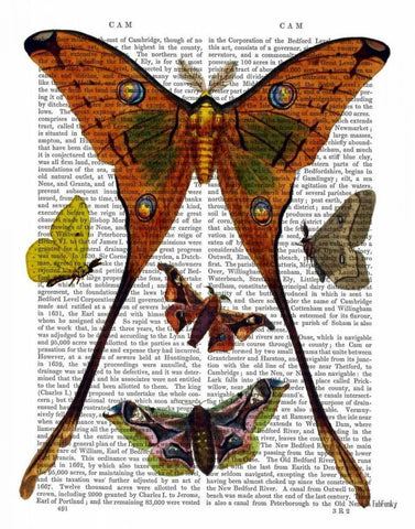 Moth Plate 1 Black Ornate Wood Framed Art Print with Double Matting by Fab Funky