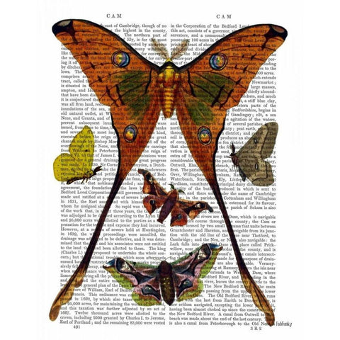 Moth Plate 1 White Modern Wood Framed Art Print by Fab Funky