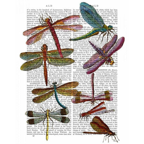 Dragonfly Print 3 Black Modern Wood Framed Art Print with Double Matting by Fab Funky