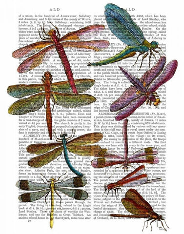 Dragonfly Print 3 Black Ornate Wood Framed Art Print with Double Matting by Fab Funky