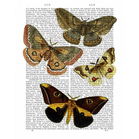 Moth Plate 3 Gold Ornate Wood Framed Art Print with Double Matting by Fab Funky