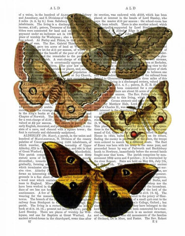 Moth Plate 3 White Modern Wood Framed Art Print with Double Matting by Fab Funky