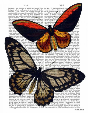 Butterflies 2 White Modern Wood Framed Art Print with Double Matting by Fab Funky