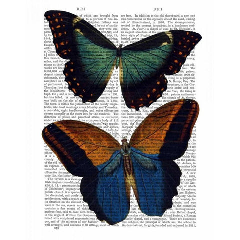 Butterflies 4 Black Modern Wood Framed Art Print with Double Matting by Fab Funky